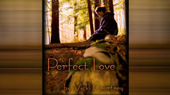 Perfect Love by Vicki Courtney