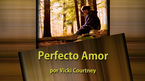Perfect Love by Vicki Courtney